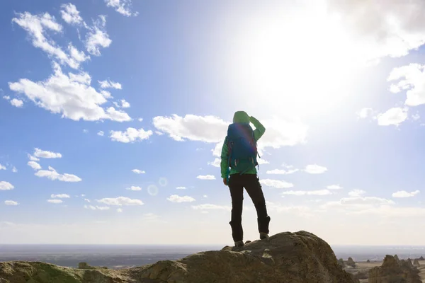 Başarılı Bir Kadın Yüksek Rakımlı Dağın Tepesindeki Manzaraya Bakıyor — Stok fotoğraf