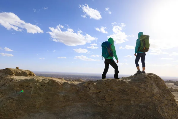 Due Donne Successo Backpackers Piedi Sulla Cima Congelato Cima Collina — Foto Stock