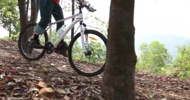 Mujer Ciclista Ciclismo Primavera Montaña Bosque Sendero — Vídeos de Stock