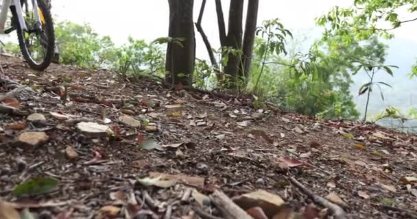 Mulher Ciclista Ciclista Primavera Montanha Top Floresta Trilha — Vídeo de Stock