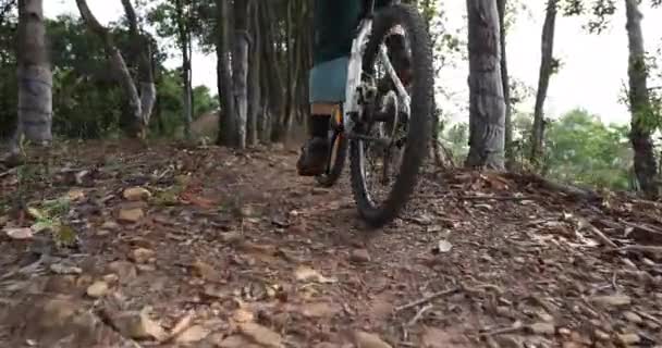 骑自行车的女人在森林里骑自行车 — 图库视频影像