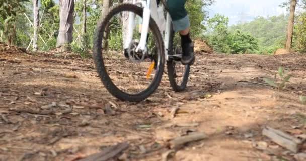 Radfahrerin Mit Fahrrad Wald Unterwegs — Stockvideo