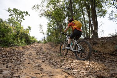 Bisikletli bir kadın dağın tepesinde orman yolunda bisiklet sürüyor.