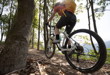 Bisikletli bir kadın dağın tepesinde orman yolunda bisiklet sürüyor.