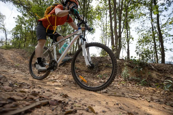 Bisikletli Kadın Bahar Dağında Ormanın Tepesinde Bisiklet Sürüyor — Stok fotoğraf