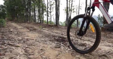 Bisikletli bir kadın ormanda bisiklet sürüyor.