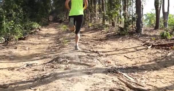 Jovem Corredora Trilha Feminina Correndo Trilha Floresta — Vídeo de Stock