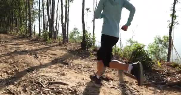 Jonge Vrouwelijke Trail Runner Loopt Bospad — Stockvideo