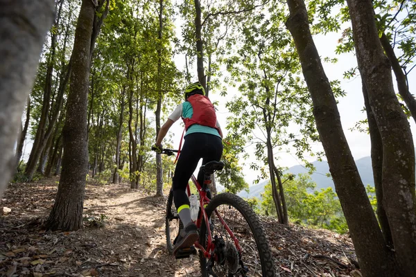 Bisikletli Bir Kadın Dağın Tepesinde Orman Yolunda Bisiklet Sürüyor — Stok fotoğraf
