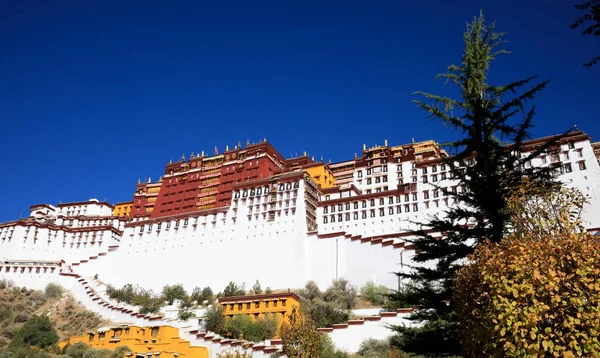 Potala Palác Tibetu Čína — Stock fotografie