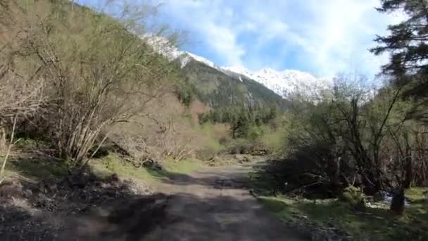 Mit Geländewagen Auf Staubiger Straße Waldbergen — Stockvideo