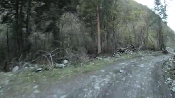 Vezetés Road Car High Height Rocky Road Forest Mountains — Stock videók