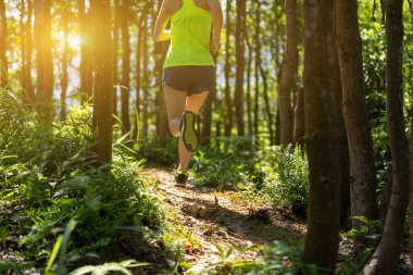 Gündoğumu tropikal ormanlarında koşan genç bir kadın koşucu.