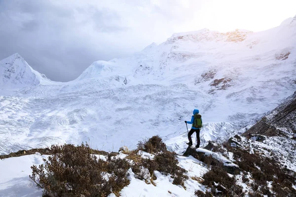 Успешная Женщина Турист Походы Зимние Горы — стоковое фото