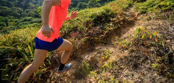 Tropikal Ormanda Yokuş Yukarı Koşan Kadın Koşucu — Stok fotoğraf