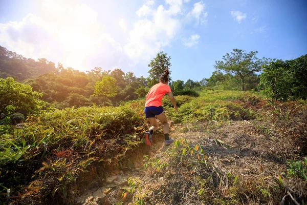 Woman Trail Runner Running Uphill Tropical Forest — Stock Photo, Image