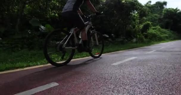 Radfahrerin Mit Mountainbike Wald Unterwegs — Stockvideo