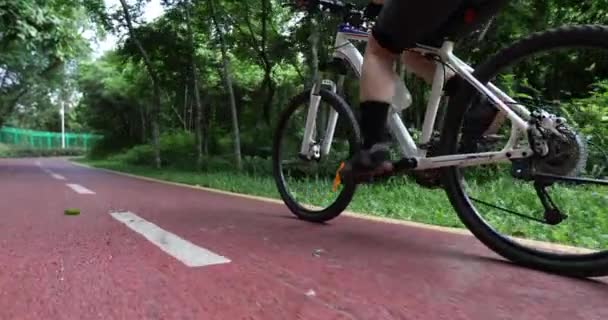 Ciclista Fêmea Montando Bicicleta Montanha Livre Floresta — Vídeo de Stock