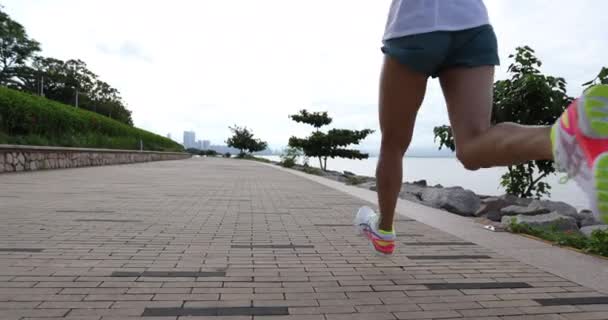 Fitness Frau Beim Lauftraining Für Marathon Auf Sonnigem Küstenweg — Stockvideo