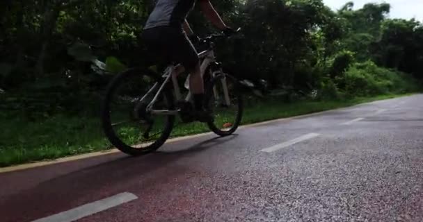 Ciclista Donna Sella Alla Mountain Bike All Aperto Nella Foresta — Video Stock