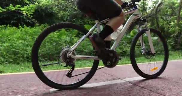 Ciclista Fêmea Montando Bicicleta Montanha Livre Floresta — Vídeo de Stock