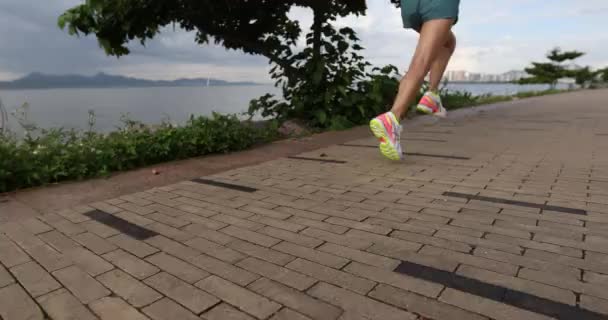 Fitness Mulher Correndo Treinamento Para Maratona Trilha Costeira Ensolarada — Vídeo de Stock