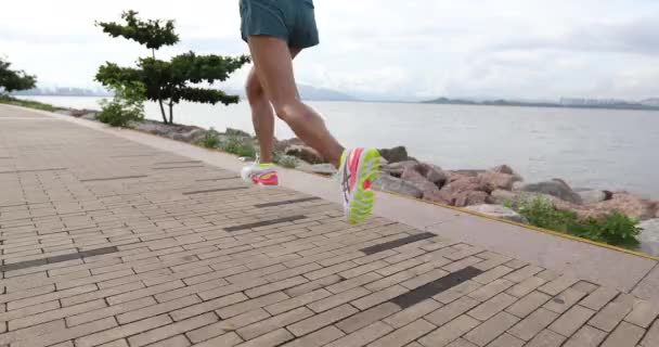 Fitness Frau Beim Lauftraining Für Marathon Auf Sonnigem Küstenweg — Stockvideo