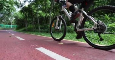 Ormanda dağ bisikleti süren kadın bisikletçi.