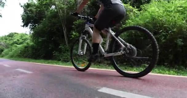 Велосипедистка Їде Гірському Велосипеді Відкритому Повітрі Лісі — стокове відео