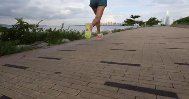 Fitness Frau Beim Lauftraining Für Marathon Auf Sonnigem Küstenweg — Stockvideo