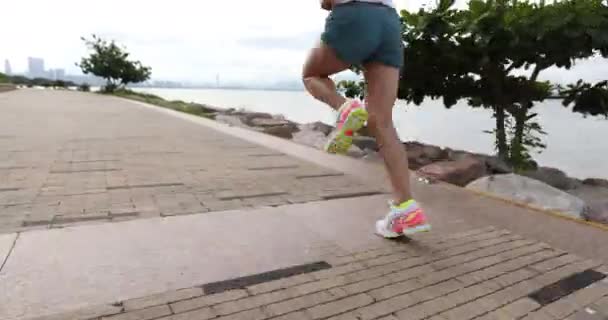 Fitness Donna Corsa Allenamento Maratona Sul Sentiero Soleggiato Della Costa — Video Stock