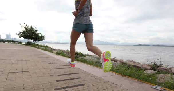 健康女人在阳光灿烂的海滨小径上参加马拉松训练 — 图库视频影像