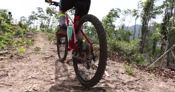 Ciclista Donna Ciclista Sulla Cima Della Montagna Sentiero Forestale — Video Stock