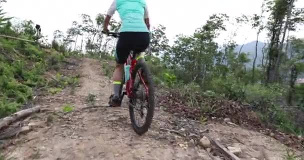 Rowerzystka Górskim Szlaku Leśnym — Wideo stockowe