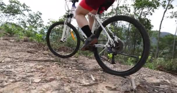 Ciclista Donna Ciclista Sulla Cima Della Montagna Sentiero Forestale — Video Stock