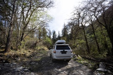 Yüksek rakımlı orman dağlarında off-road araba sürüyorum.
