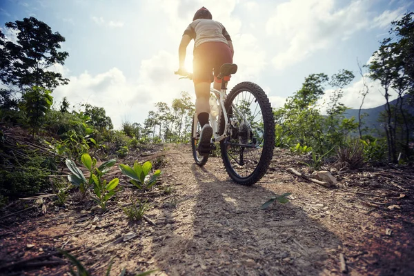 Vrouw Fietser Fietsen Bergtop Bospad — Stockfoto