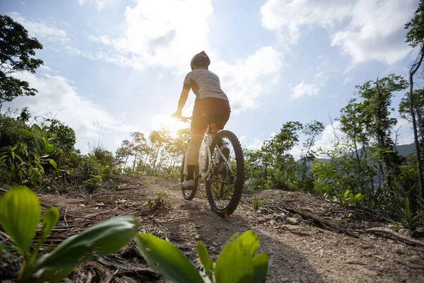 Woman Cyclist Cycling Mountain Top Forest Trail — Stock Photo, Image