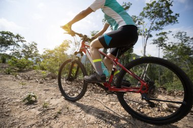 Bisikletli bir kadın dağın tepesinde orman yolunda bisiklet sürüyor.