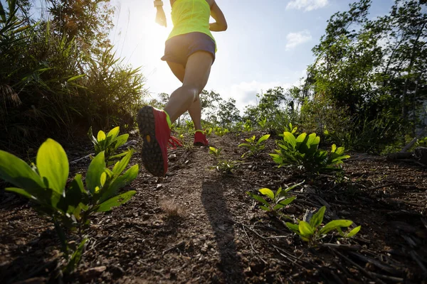 Vrouw Trail Runner Lopen Naar Zonsopgang Tropisch Bos Bergtop — Stockfoto
