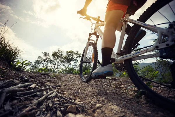 Ciclista Donna Ciclista Sulla Cima Della Montagna Sentiero Forestale — Foto Stock