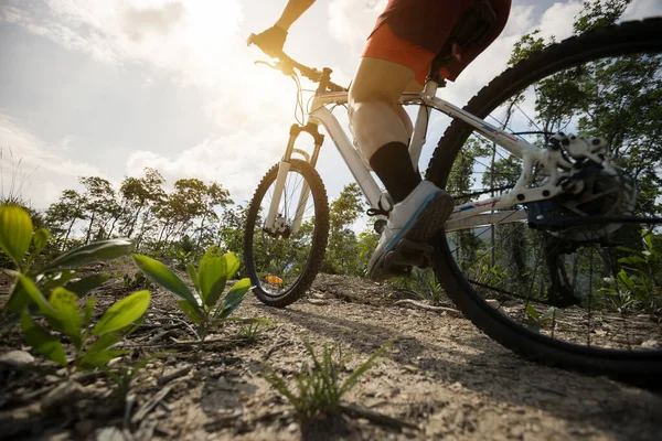 정상의 오솔길을 자전거타고 자전거타기 — 스톡 사진