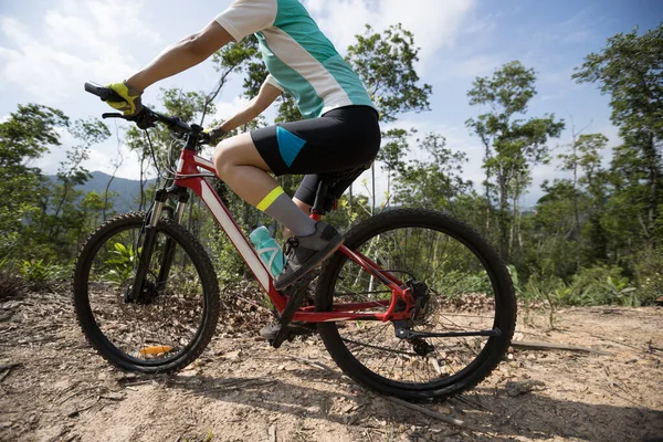 Mulher Ciclista Ciclismo Topo Montanha Trilha Florestal — Fotografia de Stock