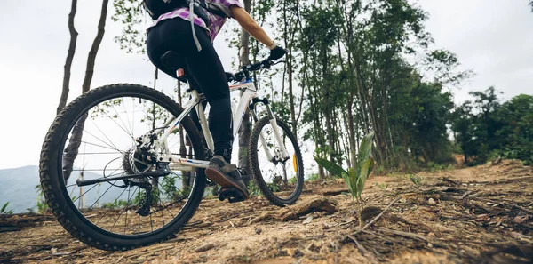 Woman Cycling Mountain Top Forest Trail — Stock Photo, Image