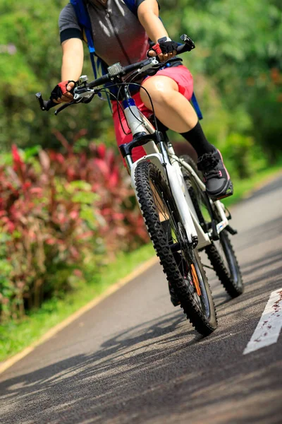Γυναίκα Ποδηλασία Τροπικό Πάρκο Μονοπάτι Καλοκαίρι — Φωτογραφία Αρχείου