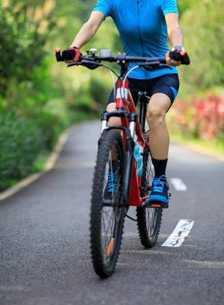 Woman Cycling Tropical Park Trail Summer — Stock Photo, Image