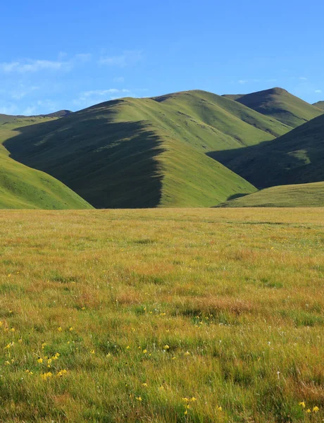 High altitude mountains with grassland landscape