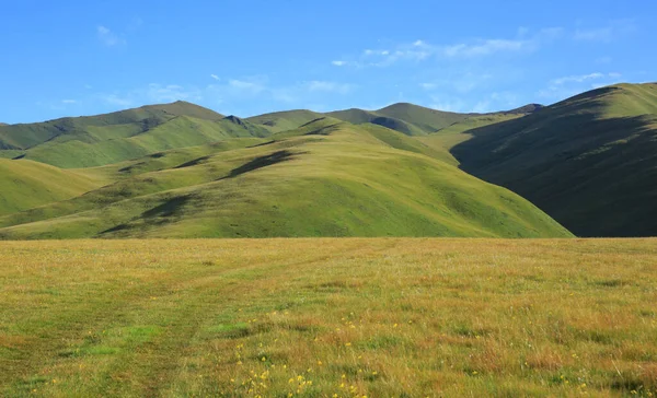 Montanhas Alta Altitude Com Paisagem Prados — Fotografia de Stock