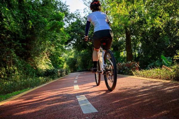 Woman Cycling Bike Path Sunrise Park — Stock Photo, Image