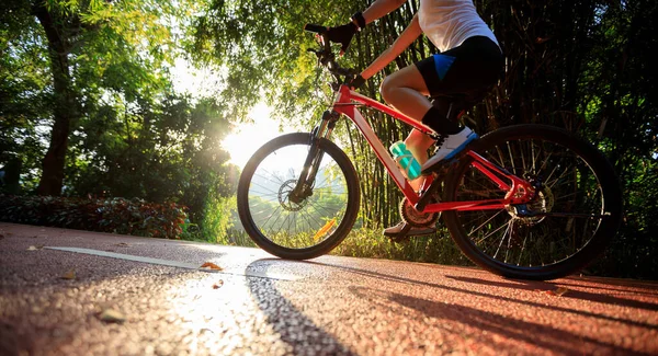 Žena Kole Cyklistické Stezce Při Východu Slunce Parku — Stock fotografie